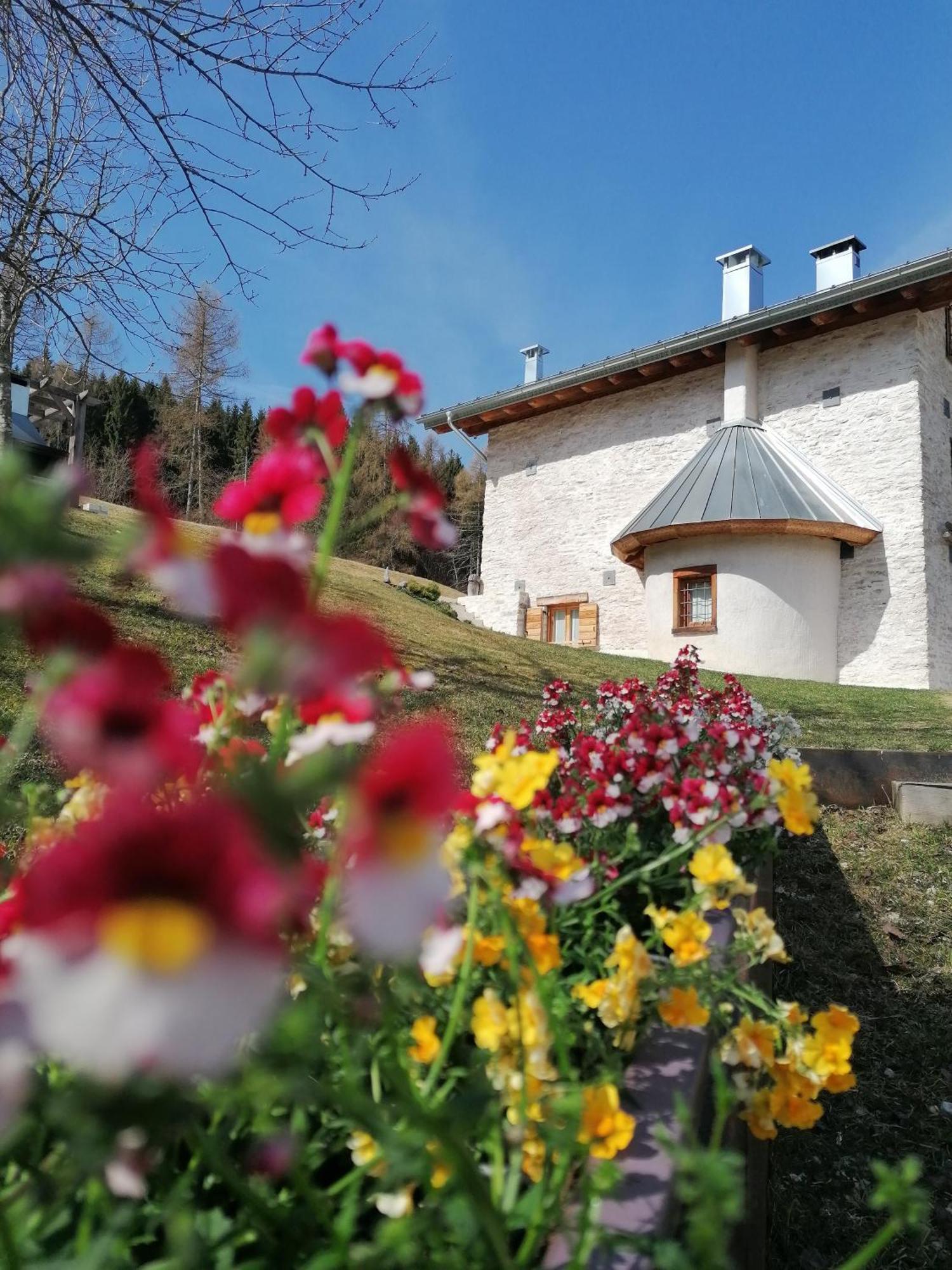 Villa Maso Stella Castello Tesino Exterior foto